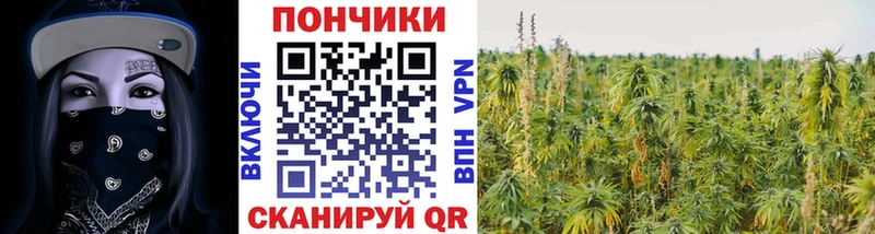 Названия наркотиков Кириллов Галлюциногенные грибы  Кокаин  Меф  Alpha PVP  Конопля  ГАШ 