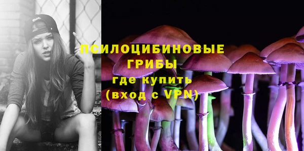 мет Бородино
