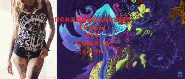 герыч Бронницы