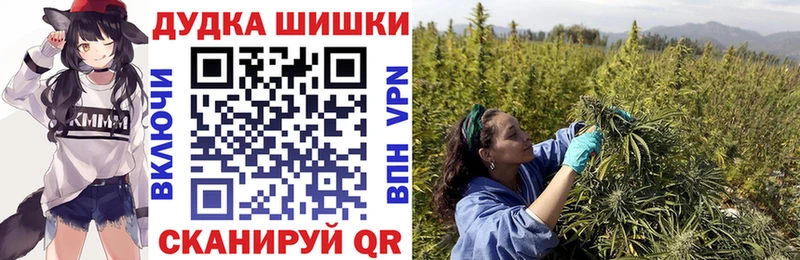 дарнет шоп  Кириллов  Марихуана сатива 